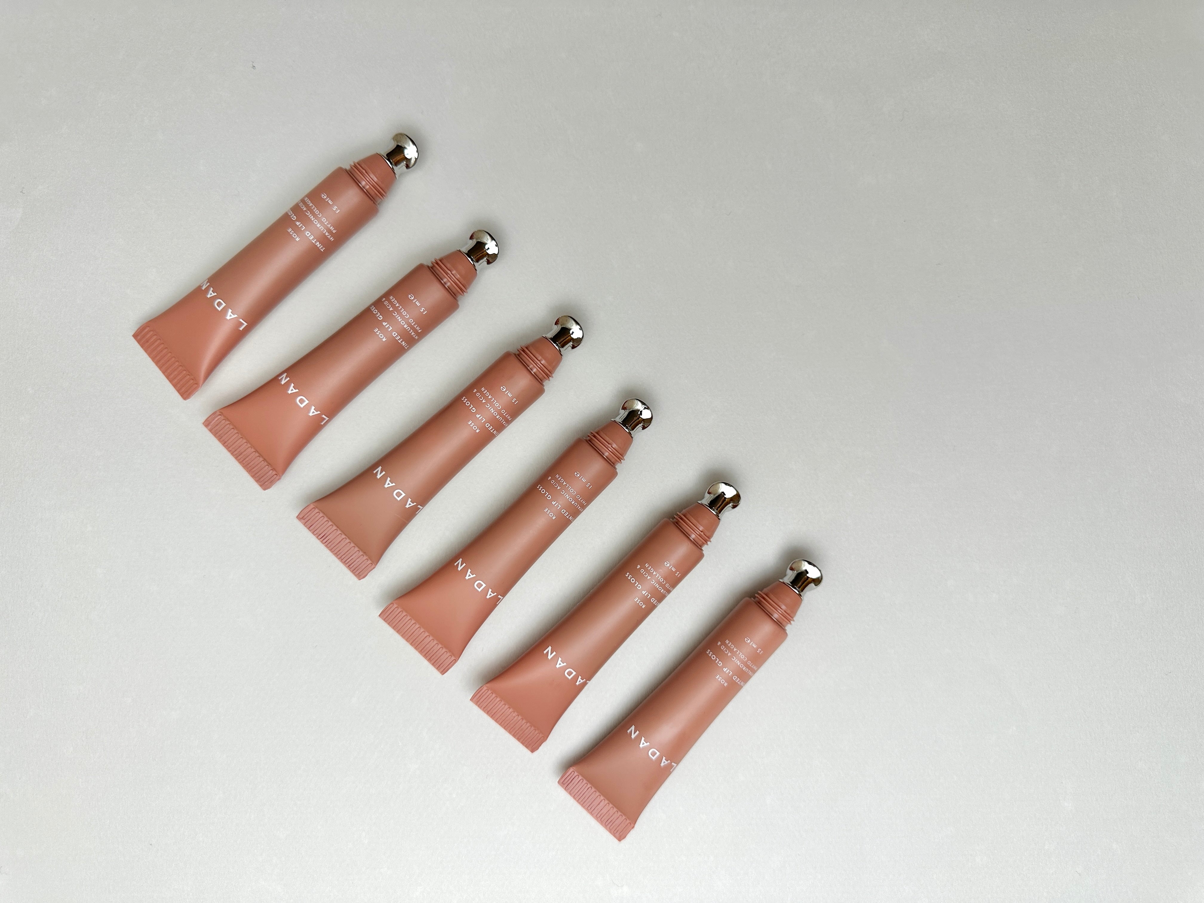The Meeting Point of Radiance and Comfort: Ladan Metal Applicator Lip Gloss
