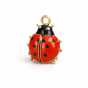 Uğur Böceği Şans Charmı