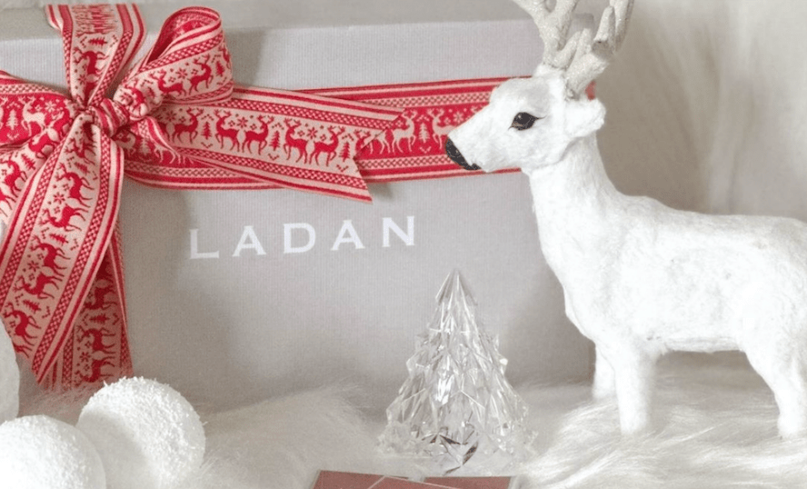 Winter Wellness Guide: Winter Care with Ladan ❄️✨