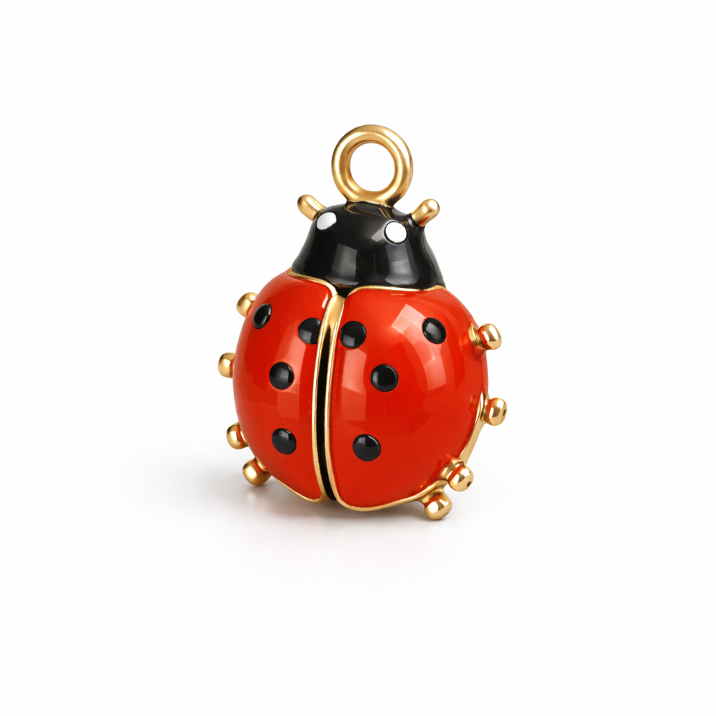 Uğur Böceği Şans Charmı